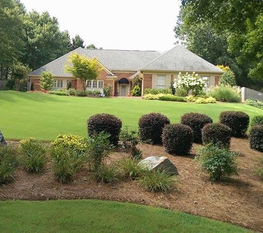 Making Your Landscaping Dreams a Reality