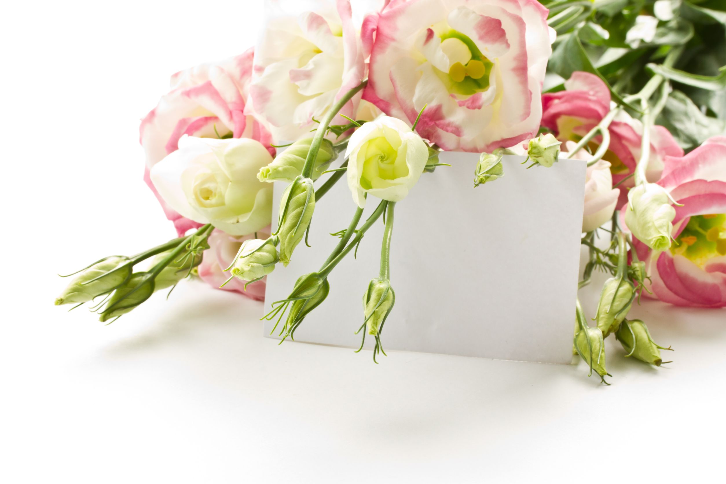 Sending Flowers – Things to Consider When Sending Flowers for Her