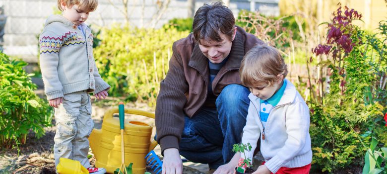 Stay Focused with the Help of a Tropical Plant Nursery in Florida