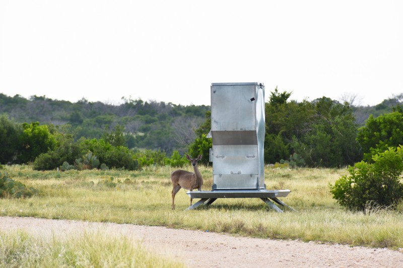 Hitting the Target – All About High Fence Ranches in Seguin, TX