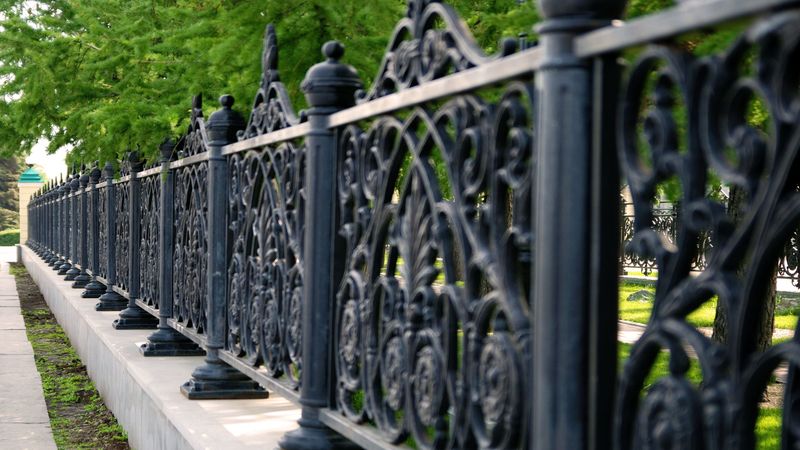 Learn Why So Many Homeowners Trust These Fencing Services in Edmonton