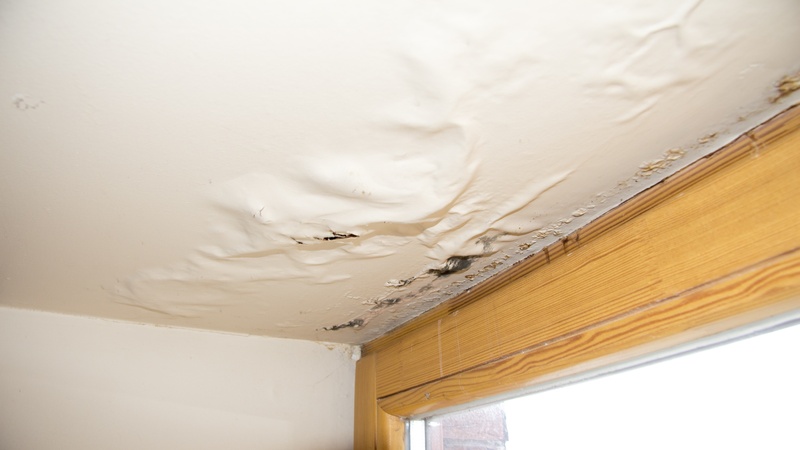 Why Hire a Water Damage Restoration Service