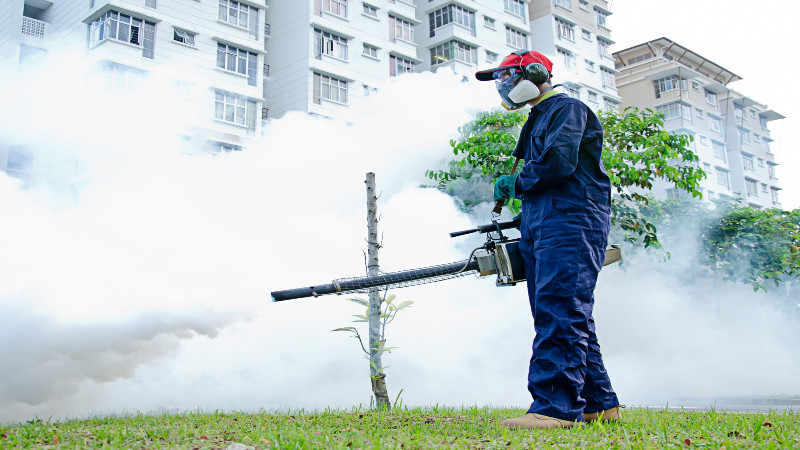 What You Should Know About Pest Control Companies in Fort Myers, FL