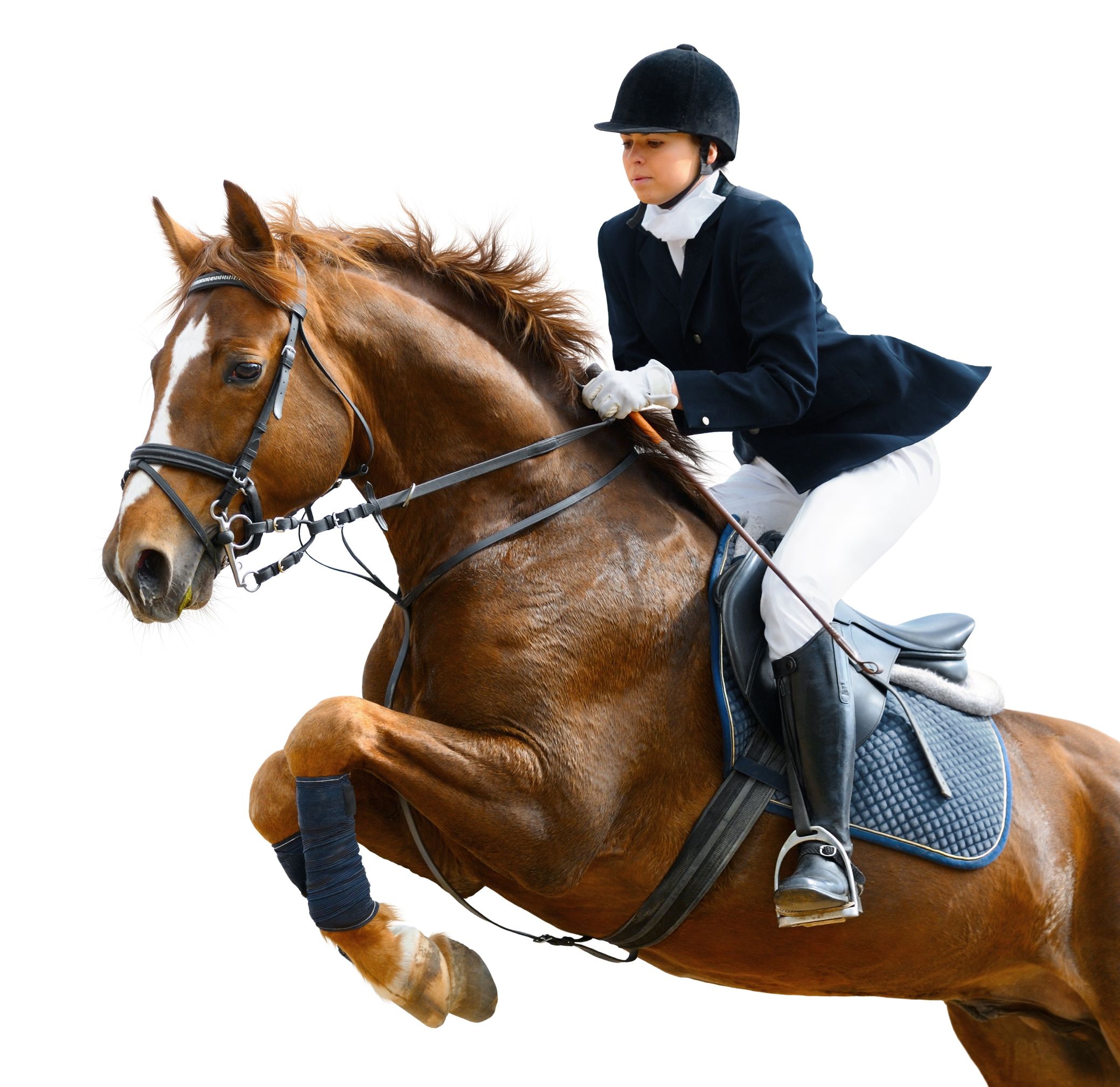 How To Choose The Best Horse Training Method