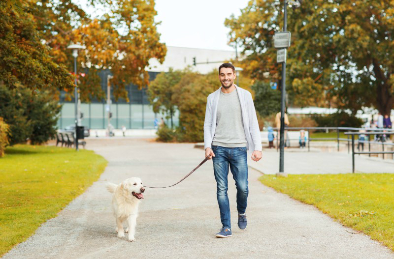 NYC Dog Walking Service Helps Keep Your Pet Happy and Healthy