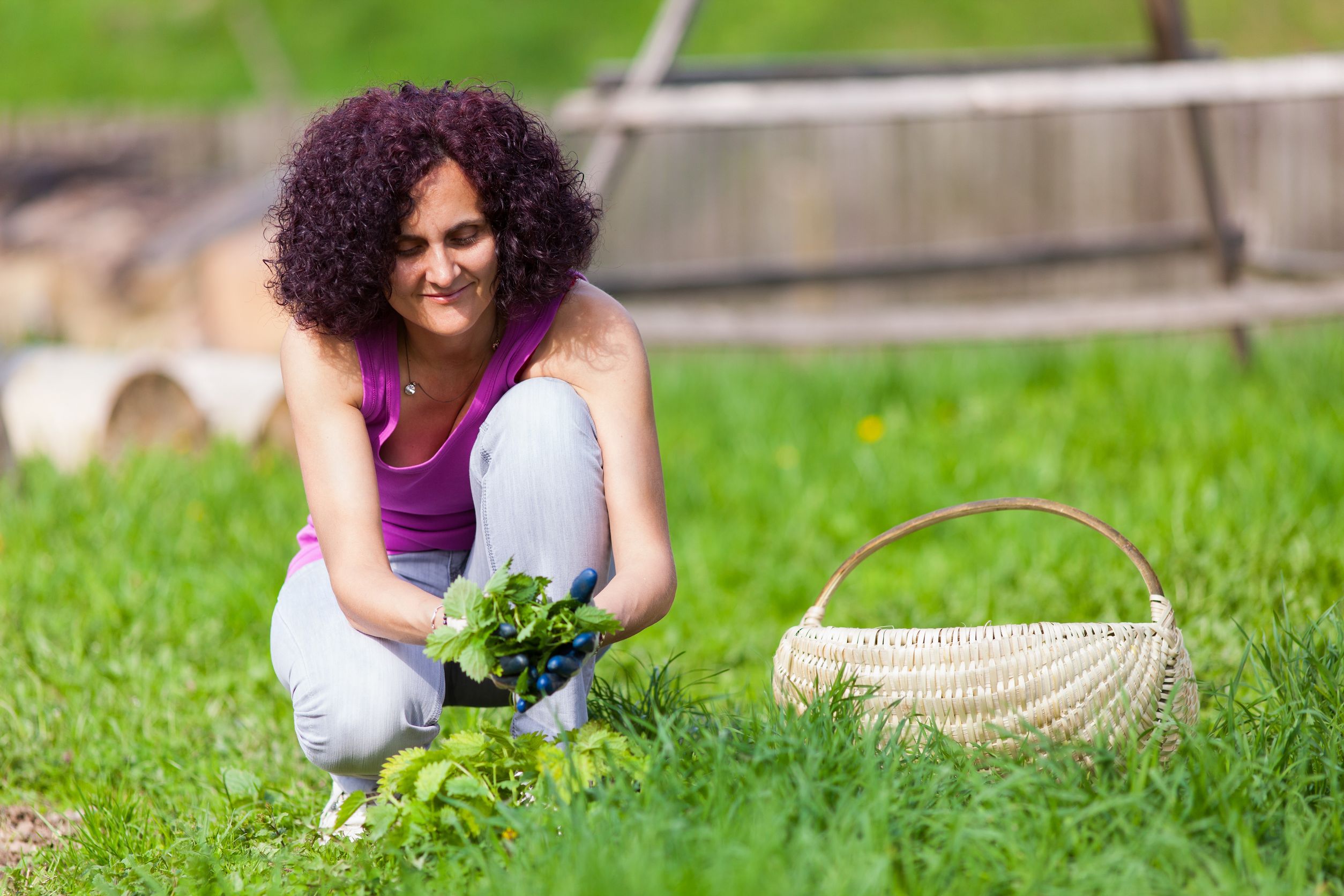 Distinctive Plants: 3 Benefits of Growing Ferns in Your Yard