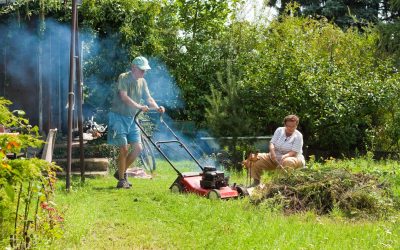 Color Your World Green With St. Augustine Sod in Temecula, CA