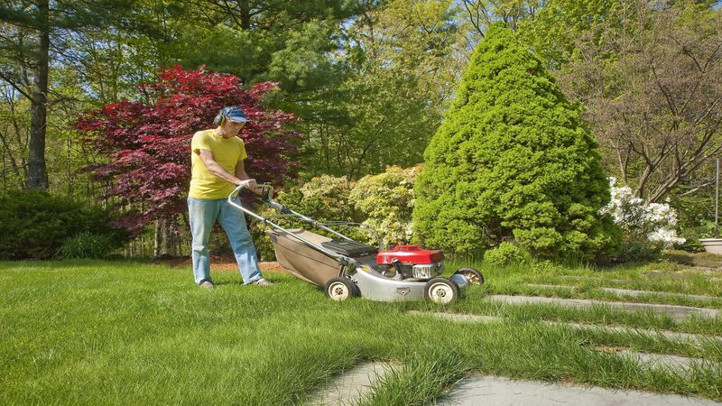 Reasons to Consider Getting Weed Treatment for Lawns in Baton Rouge