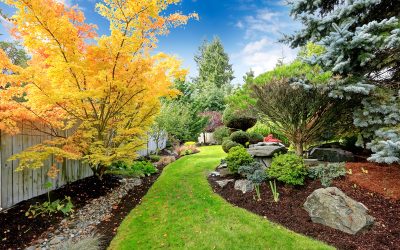 How to Address Lawn Issues with Lawn Care Service in Barrington