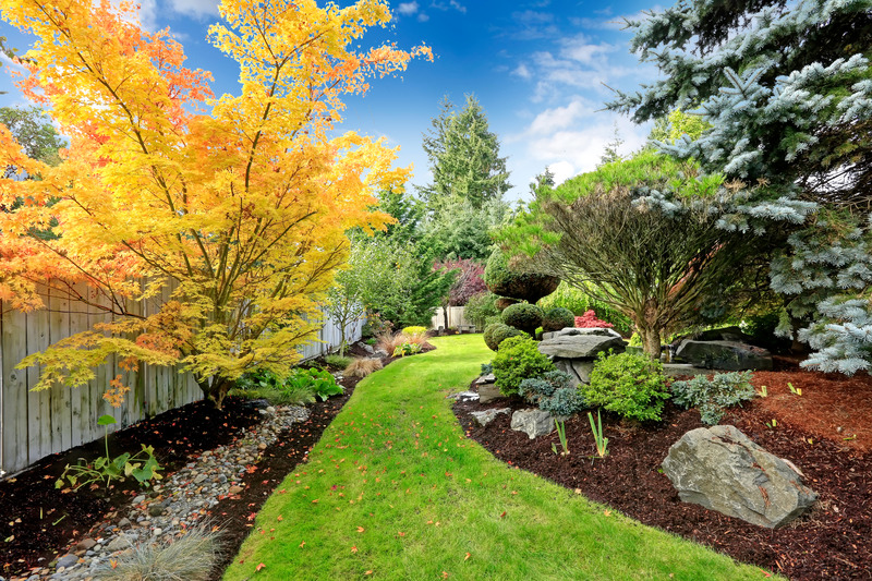 How to Address Lawn Issues with Lawn Care Service in Barrington