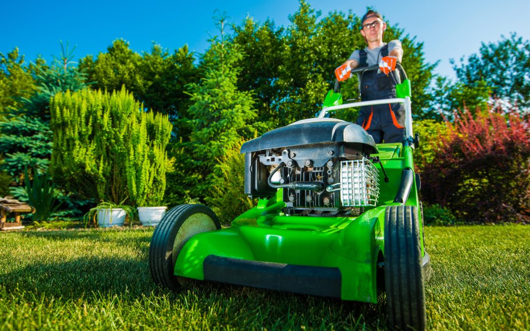 How to Check Your High-Quality Lawn Mower Belts for Damage