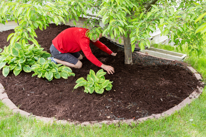 Buying Organic Topsoil in North Haven, CT is Great for Your Garden