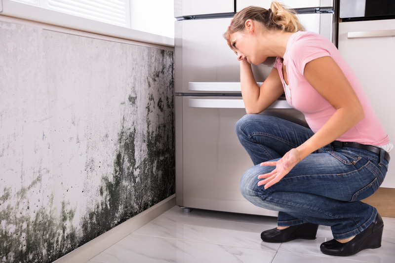 Ensure a Healthy Environment with Mold Cleaning Services in Fort Myers