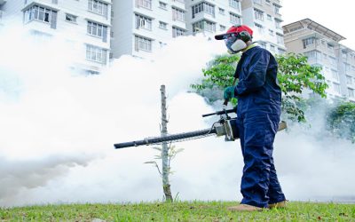 Say goodbye to infestations with pest control services in Naples, FL