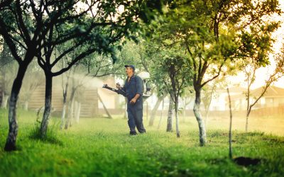 Use Battery-Powered Weed Sprayers to Transform Your Gardening Experience